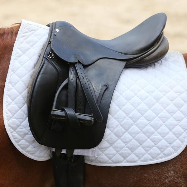Proper Saddle Pad Care Proper Saddle Pad Care